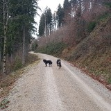 D5B931FD-8305-4029-8909-7B71CBEE0536