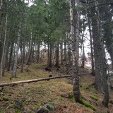 DEE43619-C55A-4012-BDE4-53BBD195C03D