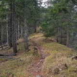 1E2AFEAB-FC9D-49A7-81D9-4CA21E8CC2D8