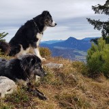 1FAD4A32-C427-442C-BC32-AF9DF920572C