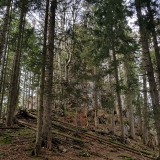 3FEBFD5D-A472-4758-9D1B-C072C35F4DD9