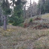 4319A0B2-79EA-46A9-A7DE-C73A525F69DB