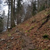 5C960271-E889-40F6-B104-F30126705792