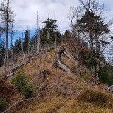 83A633FD-1E7C-4C3B-AE7B-A699D81118A0