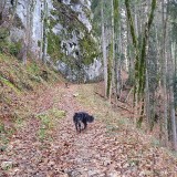 97537ABD-48B9-412C-8F4F-ABD39DC4C42F