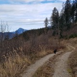 B1D7DB69-C1E1-4E96-A9B5-8A73E10B2AAF