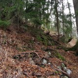 CAEB36E1-7EFD-496F-B65D-1341C107F33A