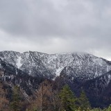 5E39B7B6-0264-4FDE-BFC7-30F5FE19A8B0