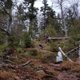 7B72AE30-95D1-4CC9-B584-407D07CFF9BF