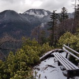 BA8FFB19-4848-4C20-B497-126FCBF9600B