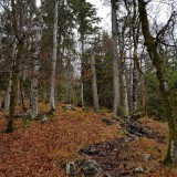 FD69C591-6103-48B2-AE25-0D280F8D816F