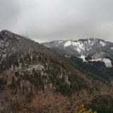 FD6F312D-A1D9-4250-A56C-AA7158548B53