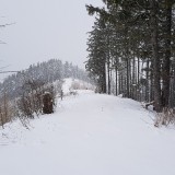 237A1B03-4A88-42B8-8274-7D28AF921D47