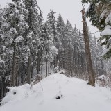 27DD94DC-F588-4B4F-883A-7056A1A9765E