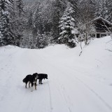 4E64D1E9-24D0-4814-88ED-A1C7E84A85C2