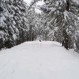 5031DCAF-9AFF-4466-9C88-EEF110E9B5E9