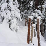 986021C4-F45C-46CD-84B7-45A5E171643F