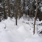 B54FF505-8E5C-4218-A31A-CDB3009C16F8