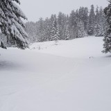 B86AFB3F-F1F7-4C1F-972D-66A0AD84F652