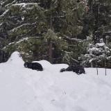 F7A412CC-06CE-48AD-B233-E64C1B02A284