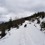 0747E39C-9526-419C-937B-B028CEAA067C