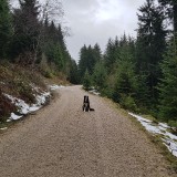 2A587486-5A24-4B9B-915B-D0EC1D6E9C86