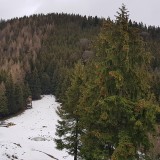 50AA89CE-1304-4C67-B103-FBDD55663300