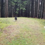 727545BF-D383-4443-A345-C81B2CA95315