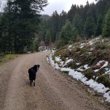 80B731E0-9618-4D78-881A-98A5B12E478F