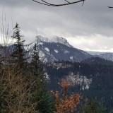 C0A619E7-3DC1-42FB-AAAC-9A1414FDFA7B