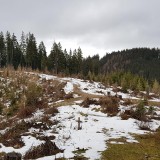 FB953C5C-25C6-49A5-8FEF-3BF4F80574FA