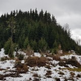 FD18E0D7-D040-4200-B6C7-DC1F768AE788