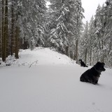 048B5D05-04D9-4670-8B2B-A9DBA4DADCD8