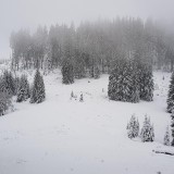 18239246-2396-43C4-8F2E-D0EBEC253511