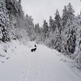 6943A078-EC24-4615-B2B5-A426E9D2CC94