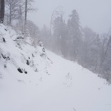 6DADA420-9894-4905-B761-F07D9B5BB008