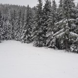 AF9FCBFB-39CB-477E-9DD2-E7298AE5FF0C