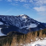 0BE0F77D-653A-4B81-829F-975CD4C56B12