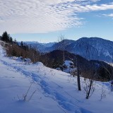 2877A250-5CFF-4098-B933-FE99F1DA8B78