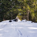 3BE9D487-621B-4F2E-97BC-E9E0F68273FA