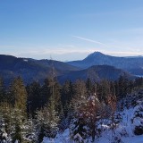 46F5934F-68B3-4FDB-B5E1-321C57C3F7B6