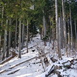 6A9DFE49-9BBE-46A8-88B5-AAB33BDD552C