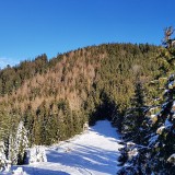 6CC50481-C38A-4F4D-87E1-F4A6CB480567