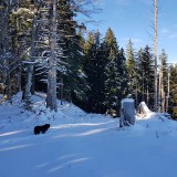 82A7DEA2-C252-4946-8235-20FD3B812D91