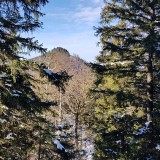 8440D0FF-A240-4B7D-BFB9-E62A9F0C1A6B