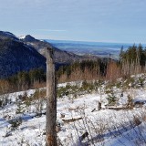 8BF6063F-BE3C-4929-9403-9C9A771C72C7