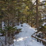 A2F9A03C-FEF4-4664-AA02-88848255BAFF