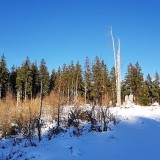 A3FD1DCE-F1FB-4B29-ABBF-A951A6BD1AB2