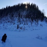 AC07FEFB-06E8-4BF3-B486-7239F3A290FF