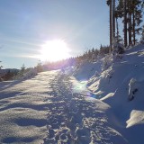 C5989A26-907E-4340-8709-6D6BB0B2F38C